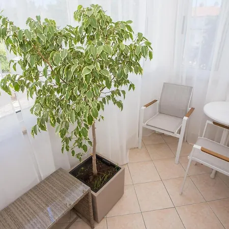 Apartment Belisima Porec Esterno foto